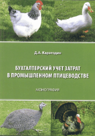 novinki