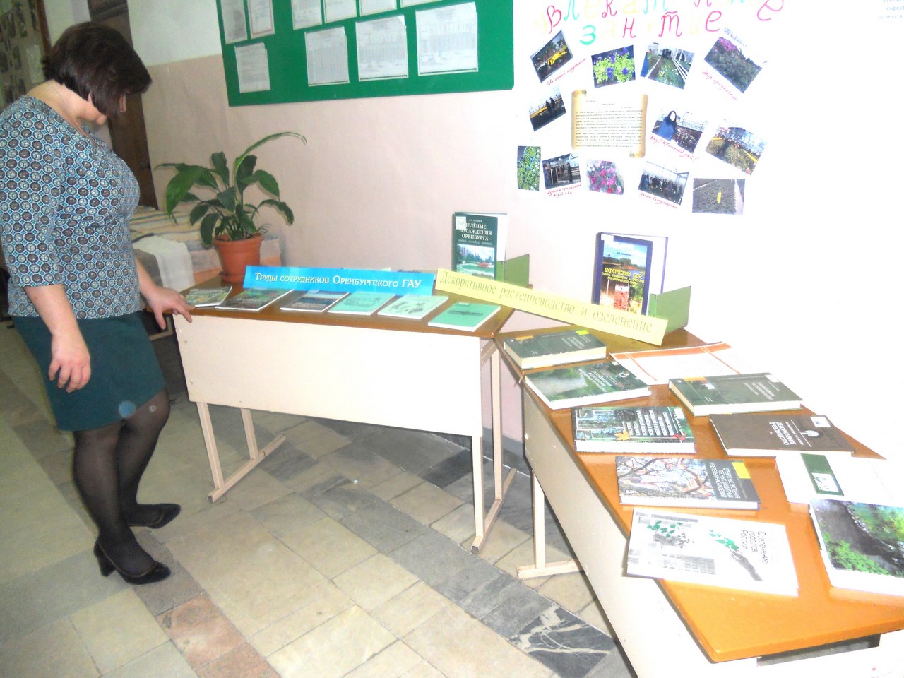 DSCN0063 Копировать